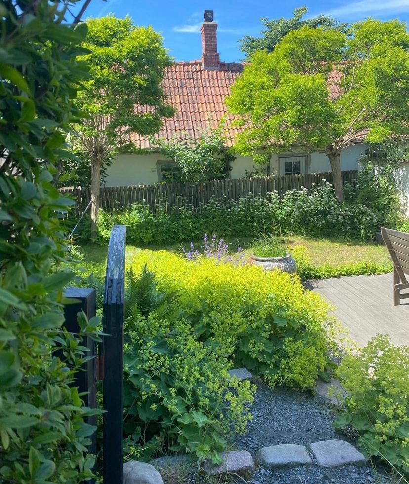 Вилла Botanikerns Hus Loderup Экстерьер фото